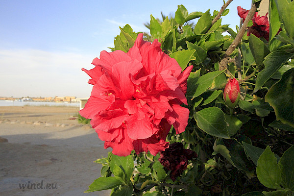 Отель Мозес Бей (Магдолена)