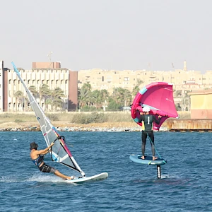 Опубликовано 16/09/25