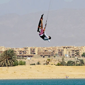 Опубликовано 14/10/25