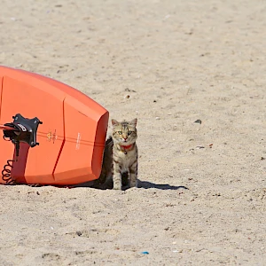 Опубликовано 14/10/25