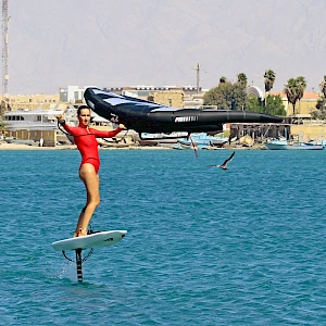 Опубликовано 16/10/25