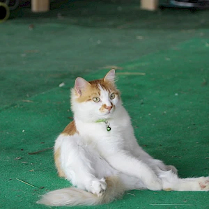 Опубликовано 16/10/25