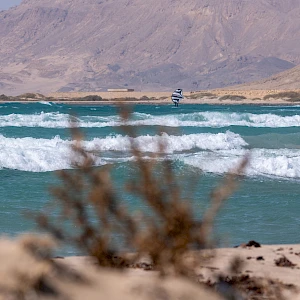 Опубликовано 19/10/25