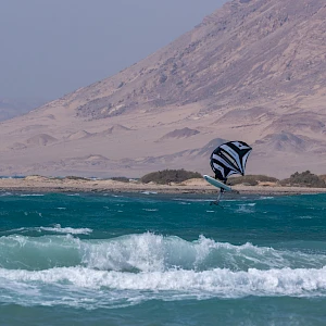 Опубликовано 19/10/25