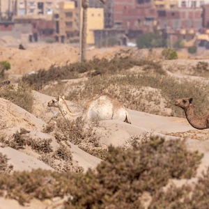 Опубликовано 19/10/25