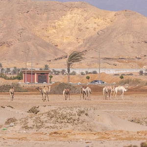 Опубликовано 19/10/25