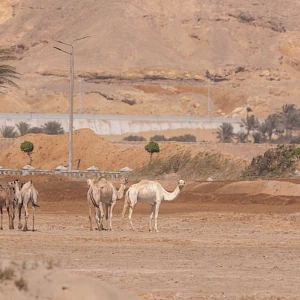 Опубликовано 19/10/25