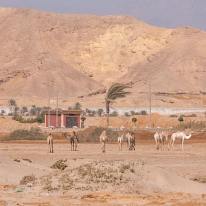 Опубликовано 19/10/25