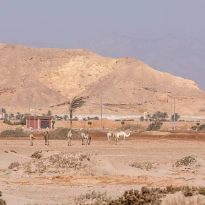 Опубликовано 19/10/25