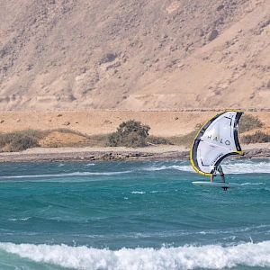 Опубликовано 19/10/25