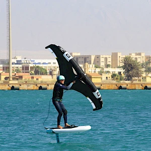 Опубликовано 01/11/25