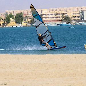 Опубликовано 01/11/25