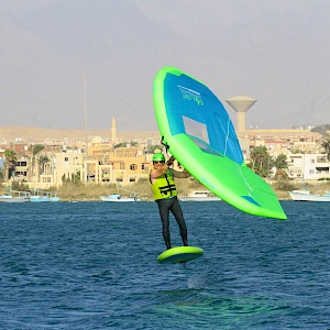 Опубликовано 01/11/25