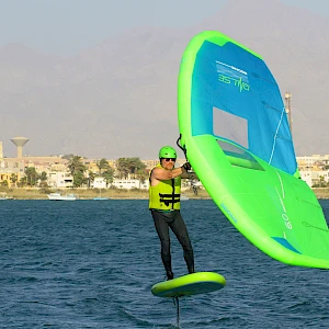 Опубликовано 01/11/25