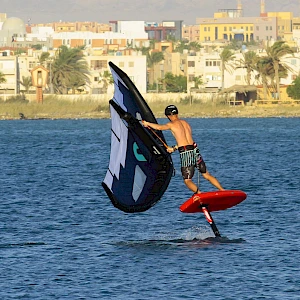 Опубликовано 01/11/25