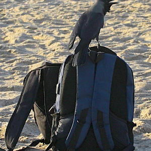 Опубликовано 01/11/25