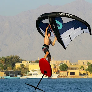 Опубликовано 01/11/25