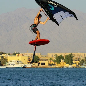 Опубликовано 01/11/25