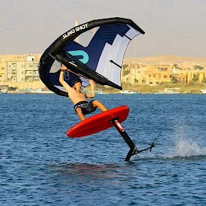 Опубликовано 01/11/25