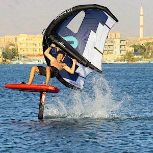 Опубликовано 01/11/25