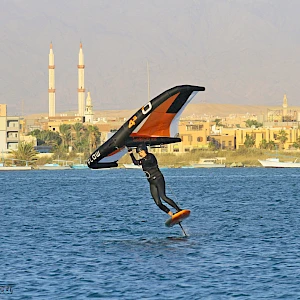 Опубликовано 01/11/25