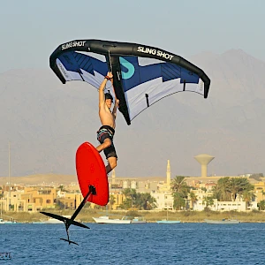 Опубликовано 01/11/25