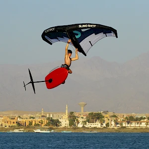 Опубликовано 01/11/25