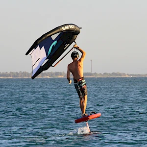 Опубликовано 01/11/25