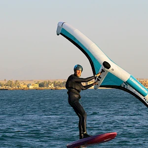 Опубликовано 01/11/25