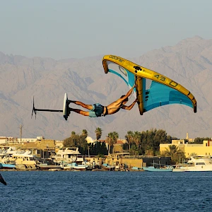 Опубликовано 01/11/25