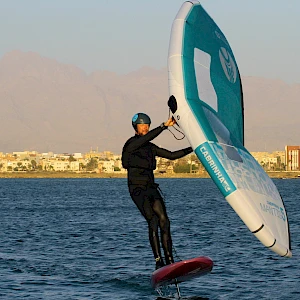 Опубликовано 01/11/25