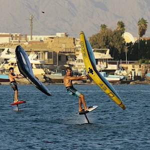 Опубликовано 01/11/25