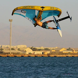 Опубликовано 01/11/25