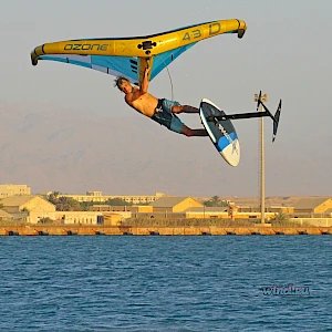 Опубликовано 01/11/25