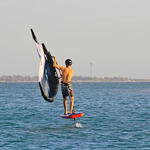 Опубликовано 01/11/25