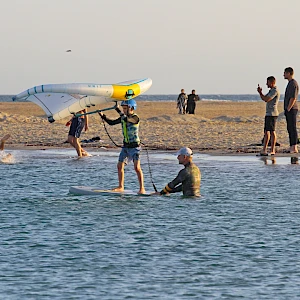 Опубликовано 01/11/25