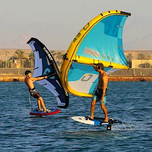 Опубликовано 01/11/25