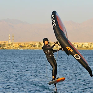 Опубликовано 01/11/25