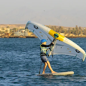 Опубликовано 01/11/25