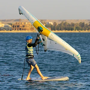 Опубликовано 01/11/25
