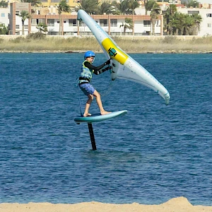 Опубликовано 02/11/25