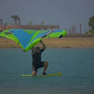 Опубликовано 07/11/25