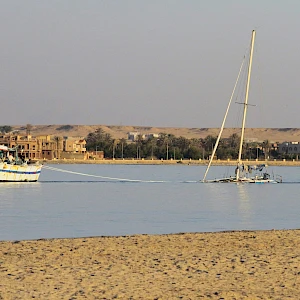 Опубликовано 07/11/25