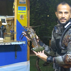 Опубликовано 07/11/25