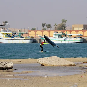 Опубликовано 07/11/25