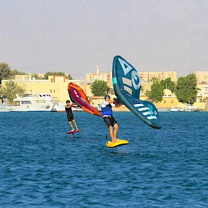 Опубликовано 19/11/25