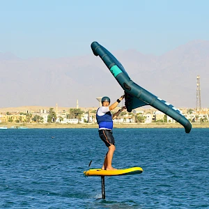 Опубликовано 19/11/25