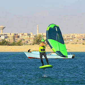 Опубликовано 19/11/25