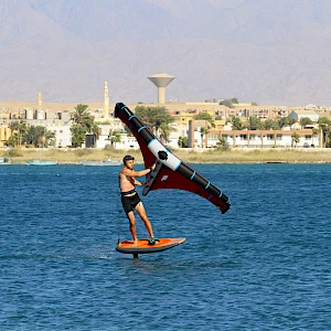 Опубликовано 19/11/25