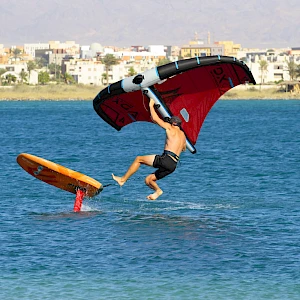 Опубликовано 19/11/25